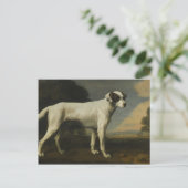 George Stubbs - Viscount Gormanstons weißer Hund Postkarte (Stehend Vorderseite)