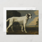 George Stubbs - Viscount Gormanstons weißer Hund Postkarte (Vorne/Hinten)