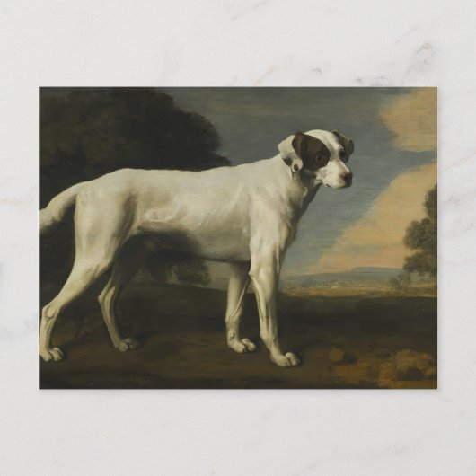 George Stubbs - Viscount Gormanstons weißer Hund Postkarte (Vorderseite)