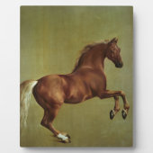 George Stubbs | Whistlejacke, 1762 Fotoplatte (Vorderseite)