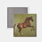 George Stubbs | Whistlejacke, 1762 Magnet (Vorderseite/Rückseite)
