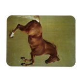 George Stubbs | Whistlejacke, 1762 Magnet (Horizontal)