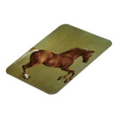 George Stubbs | Whistlejacke, 1762 Magnet (Linke Seite)