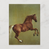 George Stubbs | Whistlejacke, 1762 Postkarte (Vorderseite)