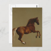 George Stubbs - Whistlejacke Postkarte (Vorne/Hinten)