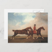 George Stubbs-William Anderson, zwei Sattelpferde Postkarte (Vorne/Hinten)