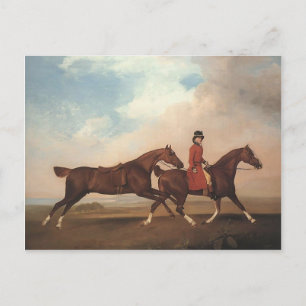 George Stubbs-William Anderson, zwei Sattelpferde Postkarte