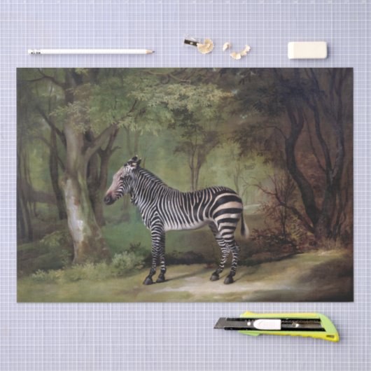 George Stubbs | Zebra (1763) Seidenpapier (Handwerk)