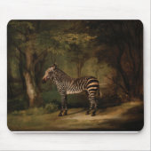 George Stubbs - Zebra Mousepad (Vorne)
