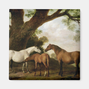 George Stubbs   zwei Shafto Stuten und ein Fohlen, Magnet
