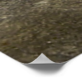 George Washington am Horseback in Trenton Poster (Ecke)