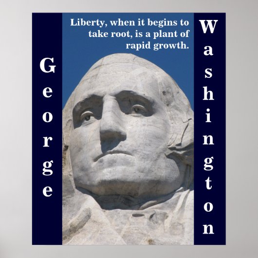 George Washington Liberty Poster (Vorne)