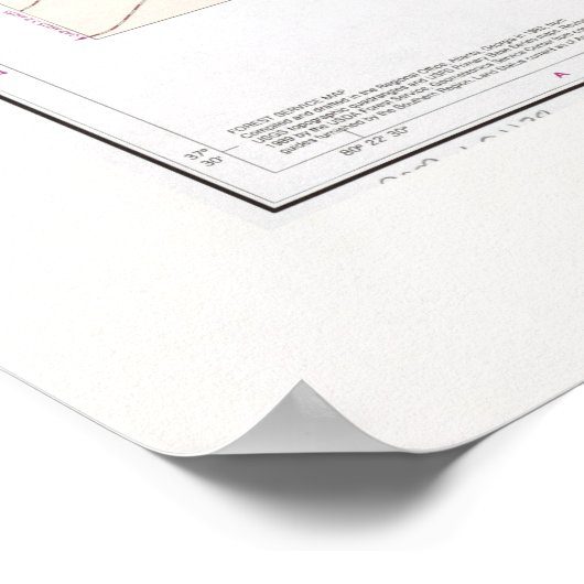 George Washington National Forest Map (1989) Poster (Ecke)