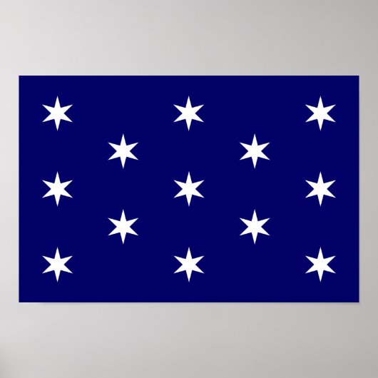 George Washingtons Persönliche Flagge Poster (Vorne)