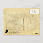 George Washingtons Zähne (Dentures) Postkarte (Rückseite)