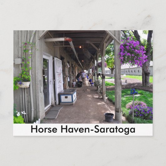 George Weaver Stables in Saratoga Postkarte (Vorderseite)