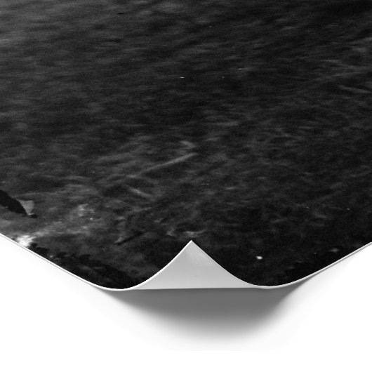 Georges Flechere Poster (Ecke)