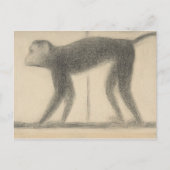 Georges Seurat - Monkey Postkarte (Vorderseite)