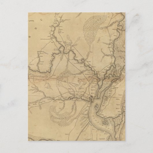 Georgetown District, South Carolina Postkarte (Vorderseite)