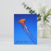 Georgia Aquarium Jellyfish Postkarte (Stehend Vorderseite)