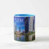 Georgia Batumi Architektur Landschaft Tasse (Zentrum)