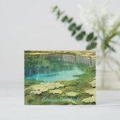Georgia Blue Hole Postkarte (Stehend Vorderseite)