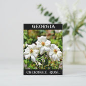 Georgia Cherokee Rose 2 Postkarte (Stehend Vorderseite)