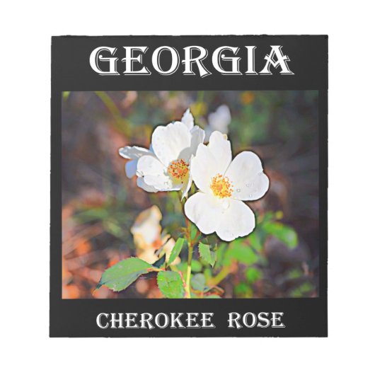 Georgia Cherokee Rose Notizblock (Vorderseite)