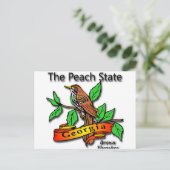 Georgia Der Peach Staat Brown Thrasher Postkarte (Stehend Vorderseite)