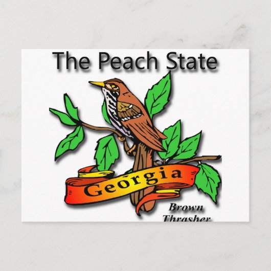 Georgia Der Peach Staat Brown Thrasher Postkarte (Vorderseite)