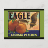 Georgia Eagle Peaches Postkarte (Vorderseite)