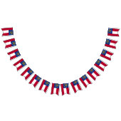 Georgia-Flagge Wimpelkette (Alle)