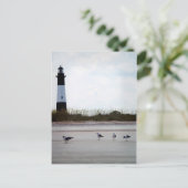 Georgia Lighthouse Postcard Postkarte (Stehend Vorderseite)