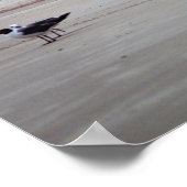 Georgia Lighthouse Poster (Ecke)