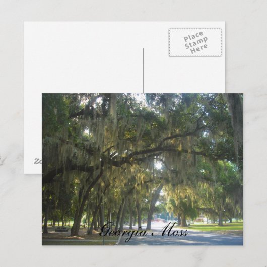 Georgia Moss Postkarte (Vorne/Hinten)