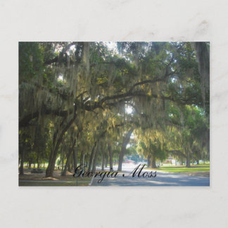 Georgia Moss Postkarte