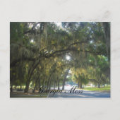 Georgia Moss Postkarte (Vorderseite)