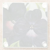 Georgia O'Keefe 1925 Schwarze und Lila Petunias Glasuntersetzer (Rückseite)