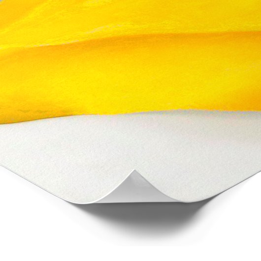 Georgia o'keeffe art poster (Ecke)