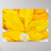 Georgia o'keeffe art poster (Vorne)