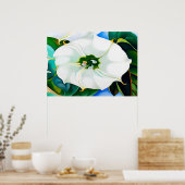 Georgia o'keeffe art poster (Küche)