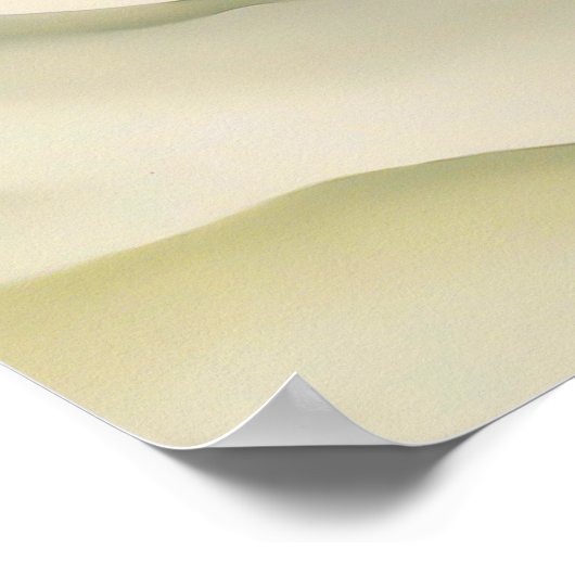 Georgia o'keeffe art poster (Ecke)