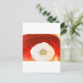Georgia o'keeffe art postkarte (Stehend Vorderseite)