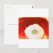 Georgia o'keeffe art postkarte (Vorne/Hinten)