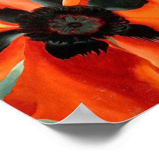 Georgia okeeffe poster (Ecke)