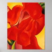 Georgia okeeffe poster (Vorne)