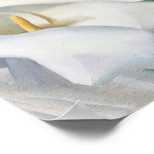 Georgia okeeffe poster (Ecke)