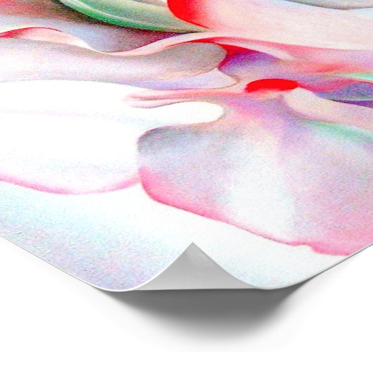 Georgia okeeffe poster (Ecke)