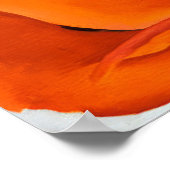 Georgia O'Keeffe -  Rote Mohnblume - 1927 Poster (Ecke)