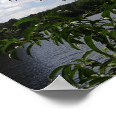 Georgia Peach Tree Fluffy White Clouds Poster (Ecke)